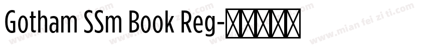 Gotham SSm Book Reg字体转换